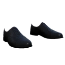 Elegant shoes