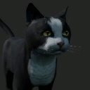 Kitty