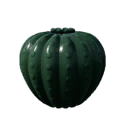 Cactus sculpture