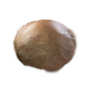 Indica seed