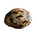 Sativa seed